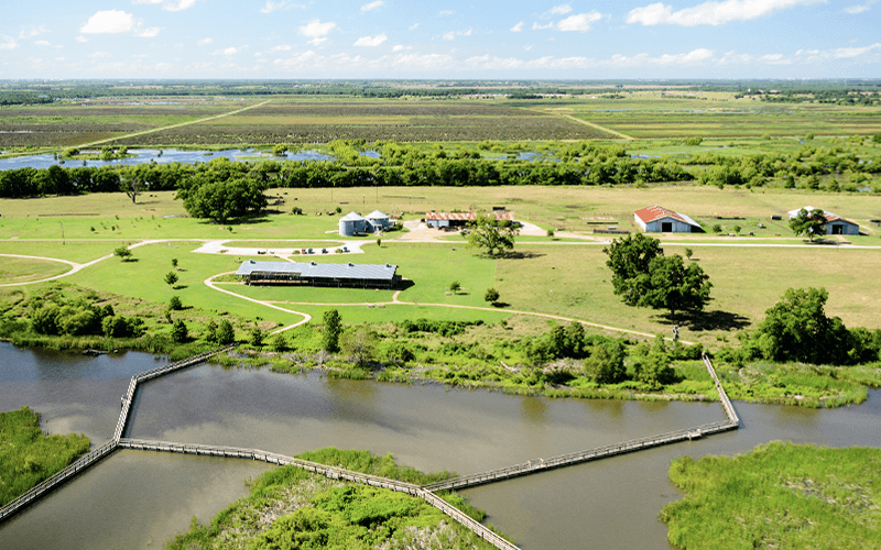 John Bunker Sands Wetland Center, promoting cash for cars in Seagoville, Texas